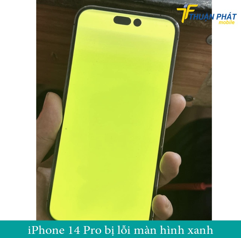 iPhone 14 Pro bị lỗi màn hình xanh