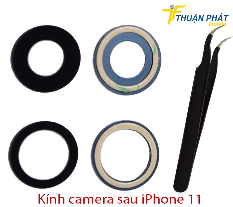 Kính camera sau iPhone 11