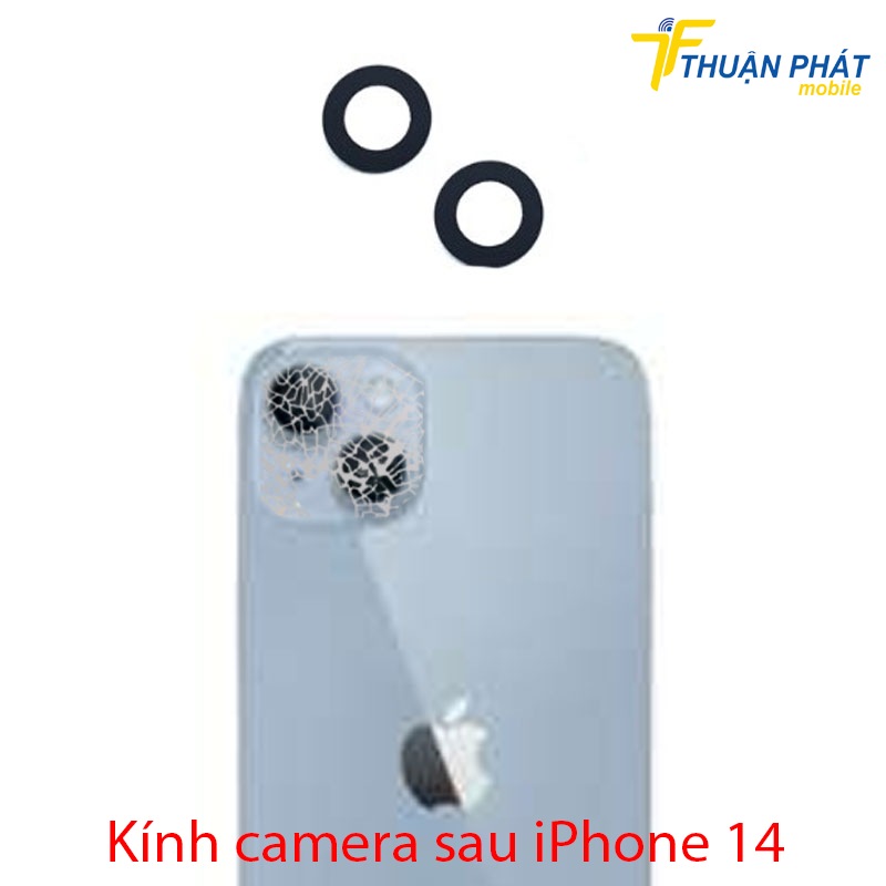 Kính camera sau iPhone 14