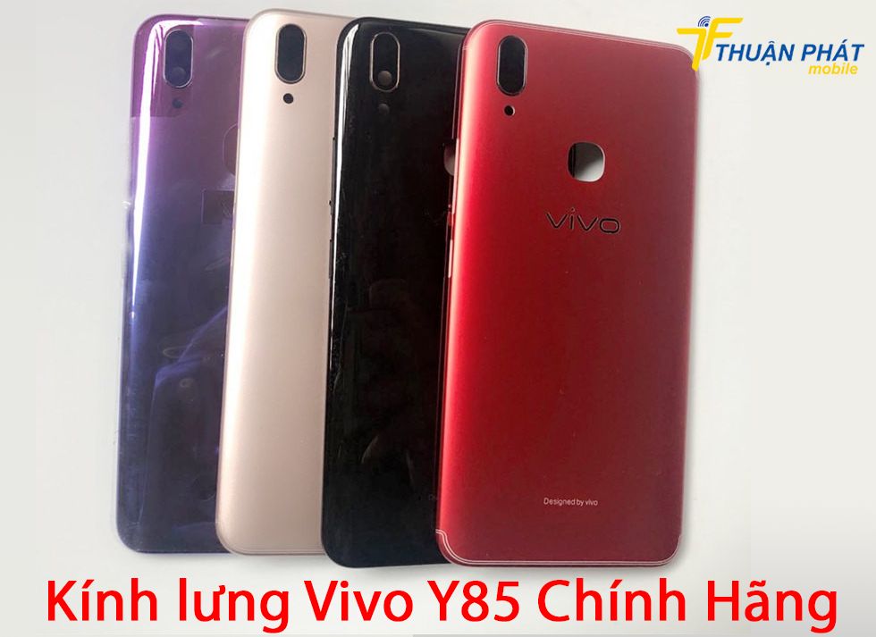 Kính lưng Vivo Y85 chính hãng