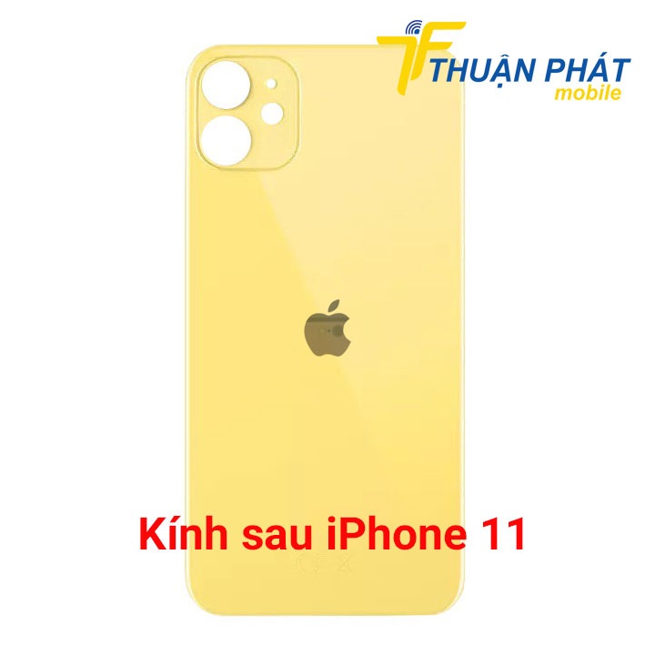 Kính sau iPhone 11 chính hãng