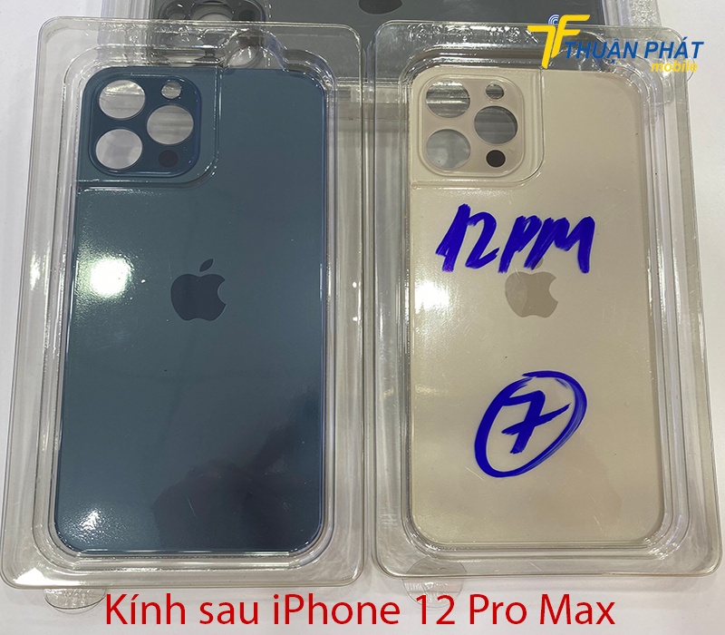 Kính sau iPhone 12 Pro Max