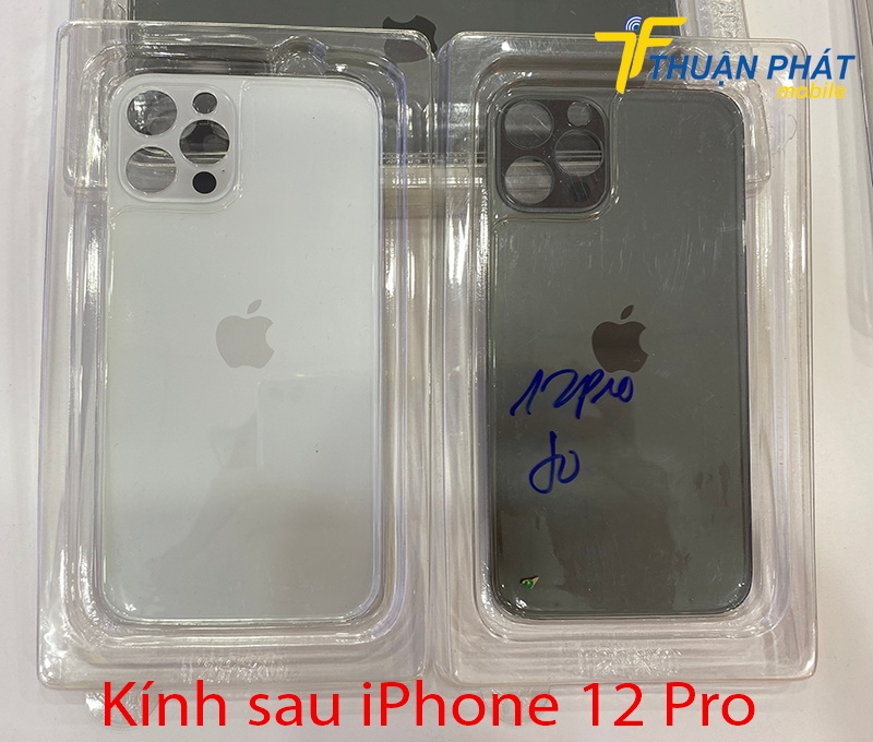 Kính sau iPhone 12 Pro