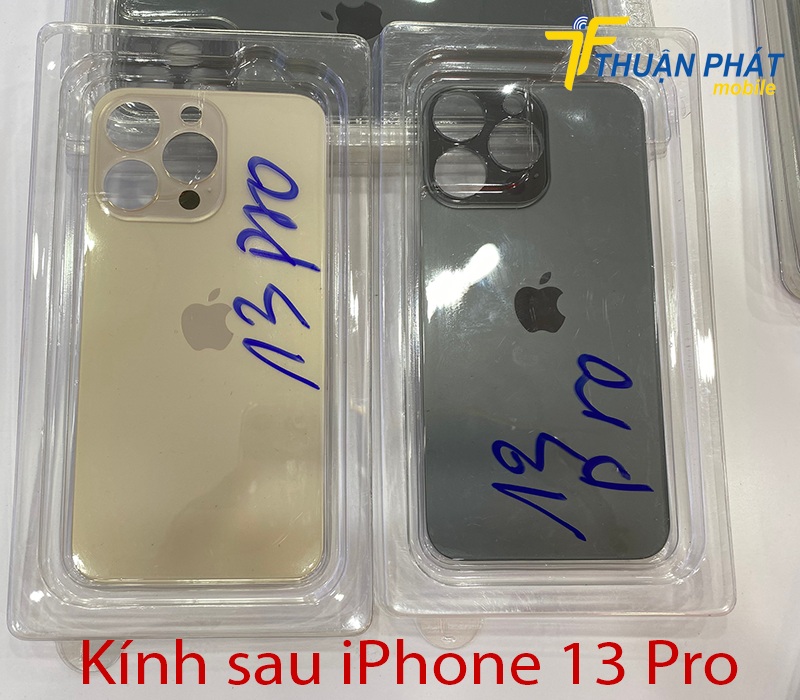 Kính sau iPhone 13 Pro