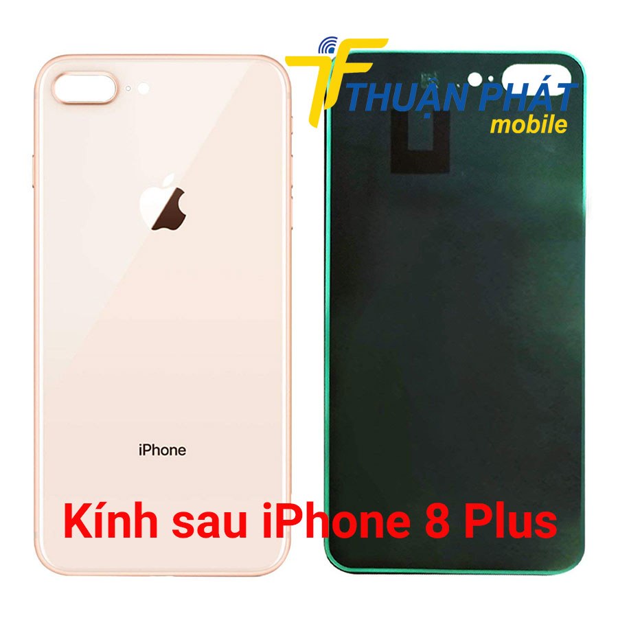 Kính sau iPhone 8 Plus chính hãng