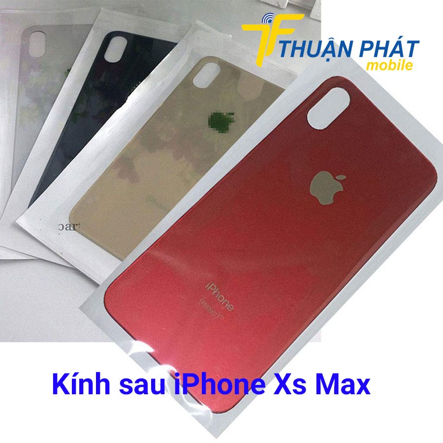 Kính sau iPhone Xs Max chính hãng