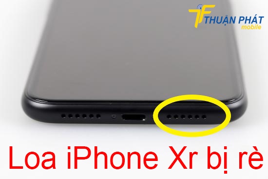 Loa iPhone Xr bị rè