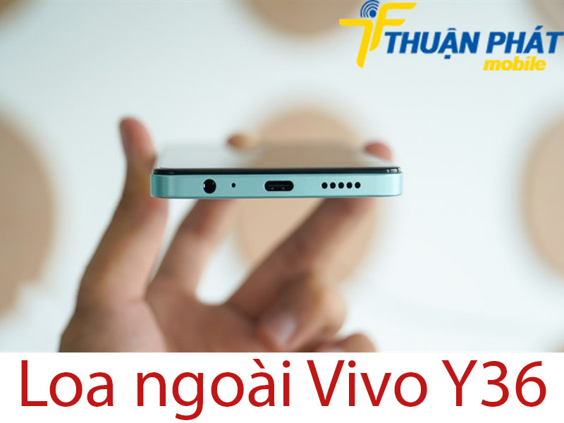 Loa ngoài Vivo Y36