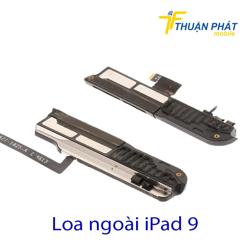 Thay loa ngoài iPad 9