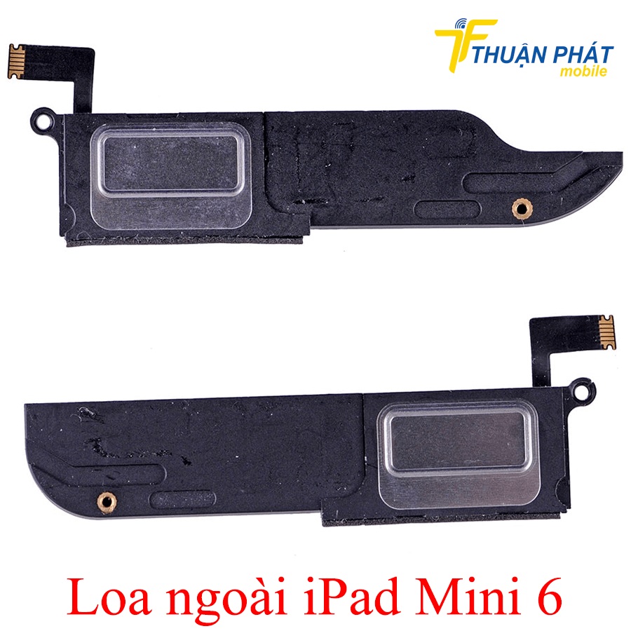 Loa ngoài iPad Mini 6