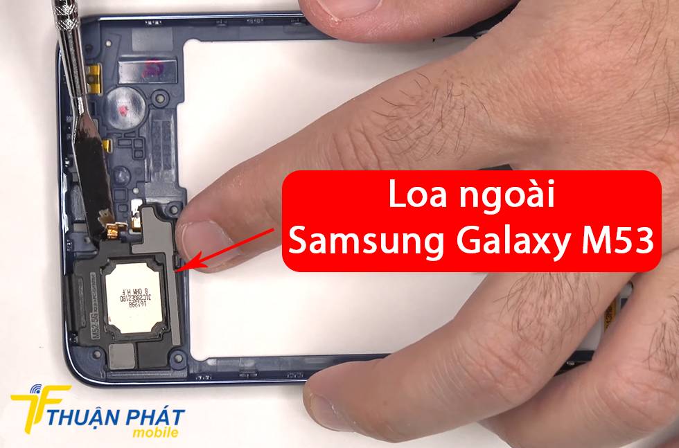 Loa ngoài Samsung Galaxy M53