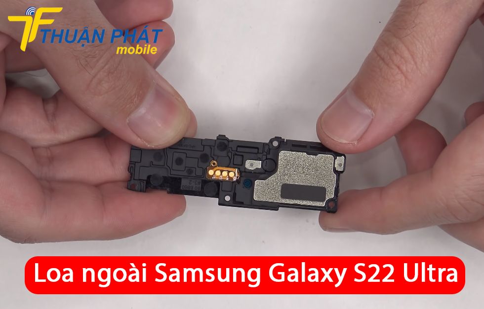 Loa ngoài Samsung Galaxy S22 Ultra