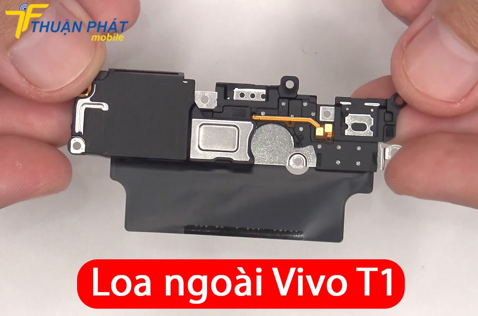 Loa ngoài Vivo T1