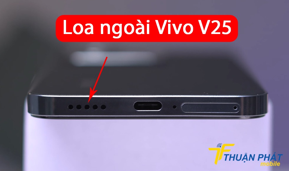 Loa ngoài Vivo V25