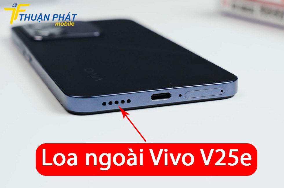 Loa ngoài Vivo V25e