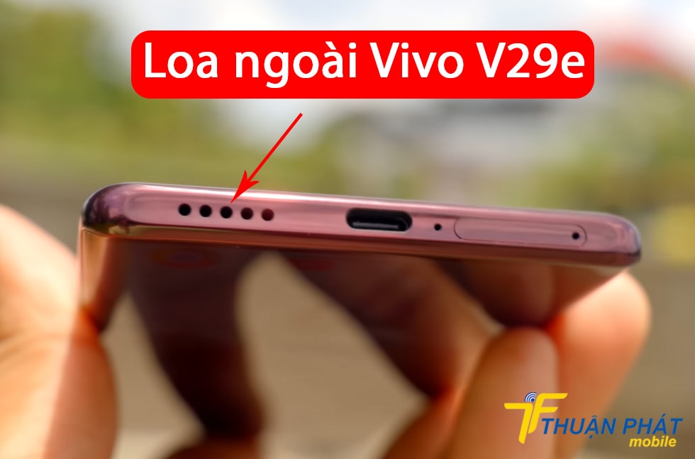 Loa ngoài Vivo V29e