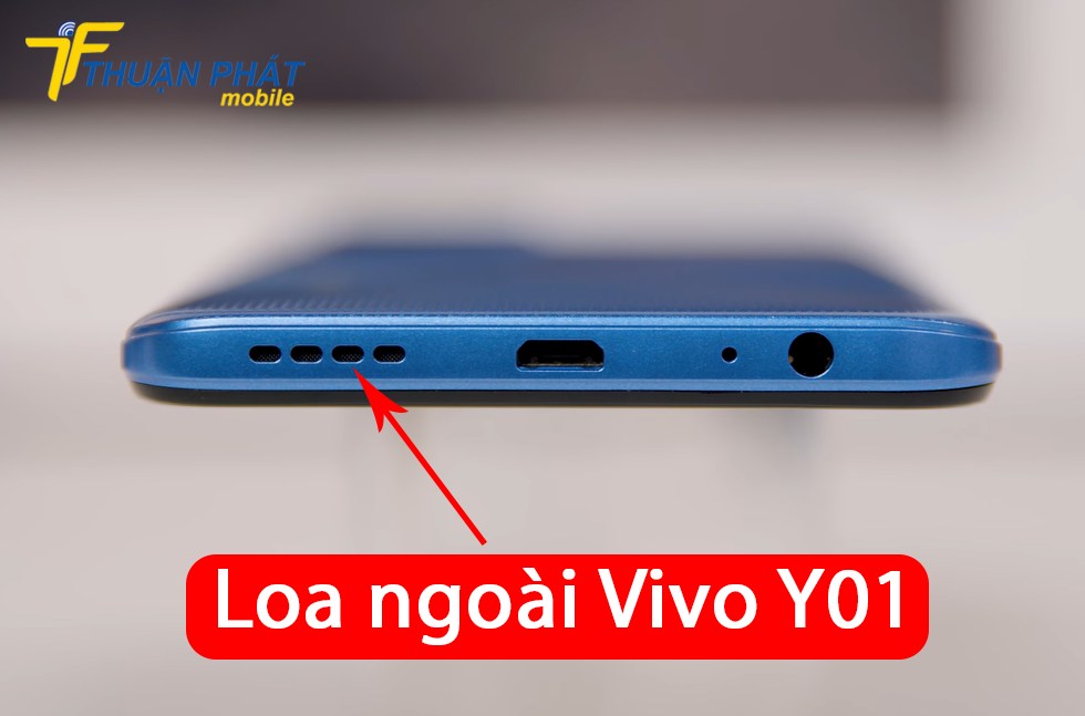 Loa ngoài Vivo Y01