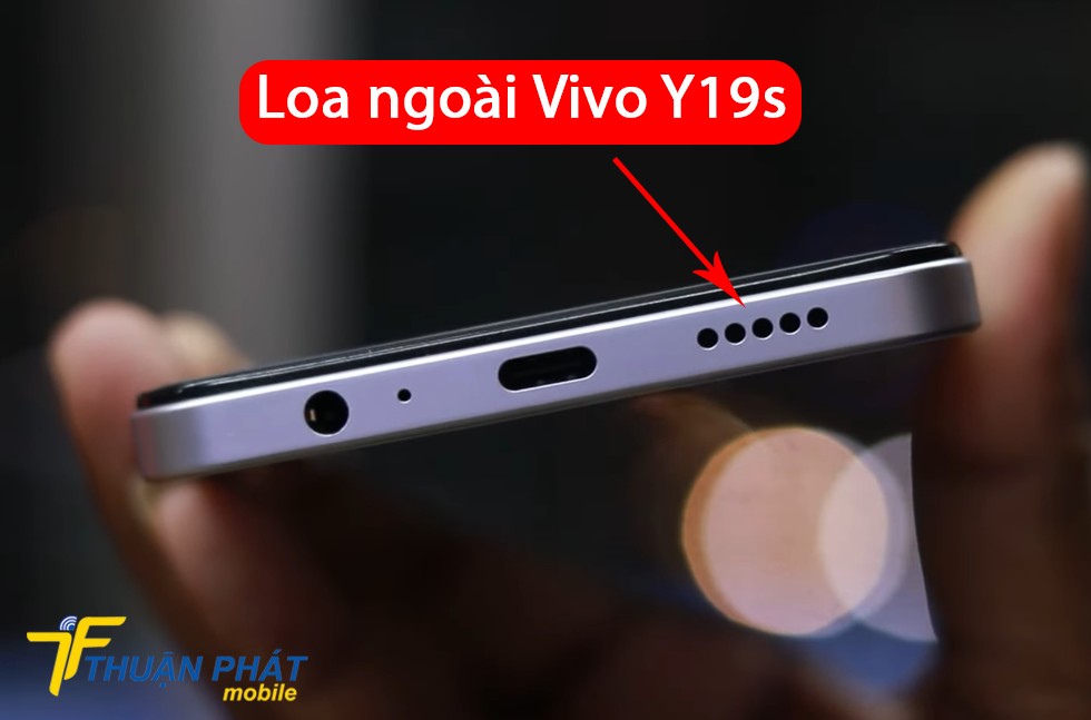 Loa ngoài Vivo Y19s