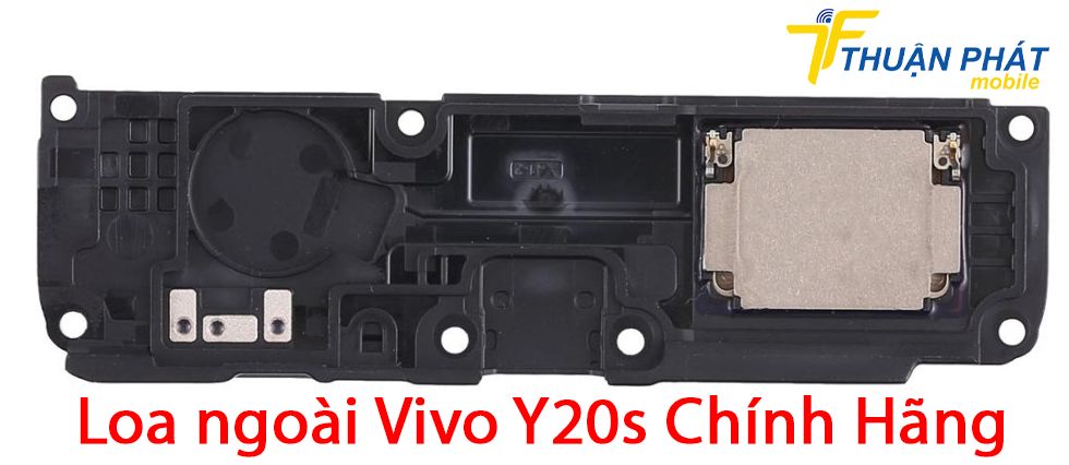 Loa ngoài Vivo Y20s chính hãng