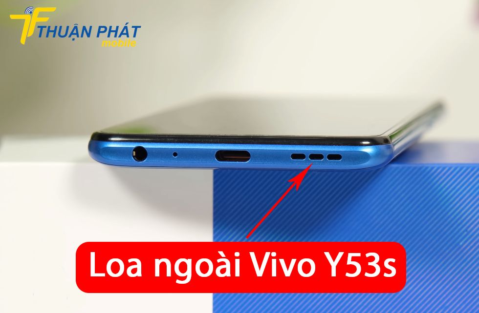 Loa ngoài Vivo Y53s