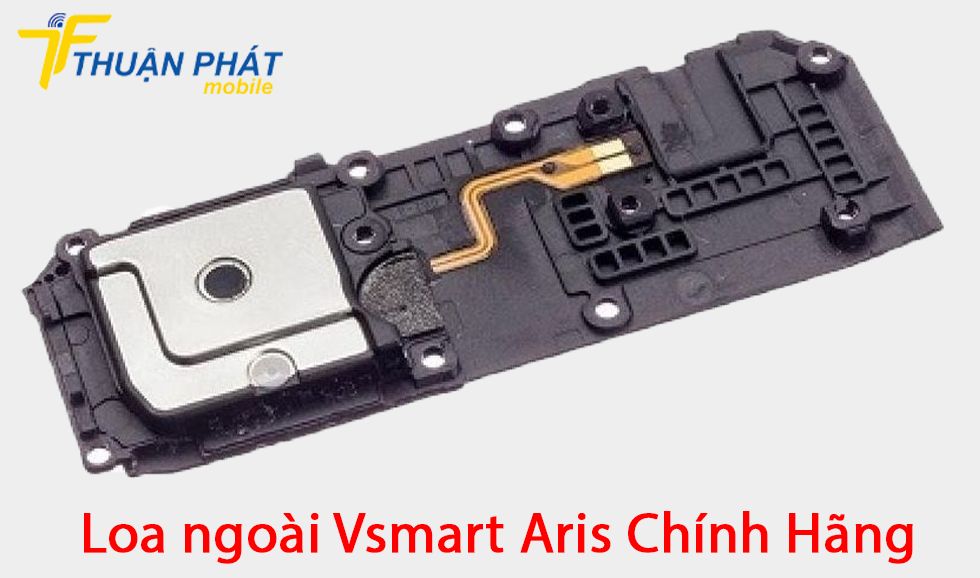 Loa ngoài Vsmart Aris chính hãng