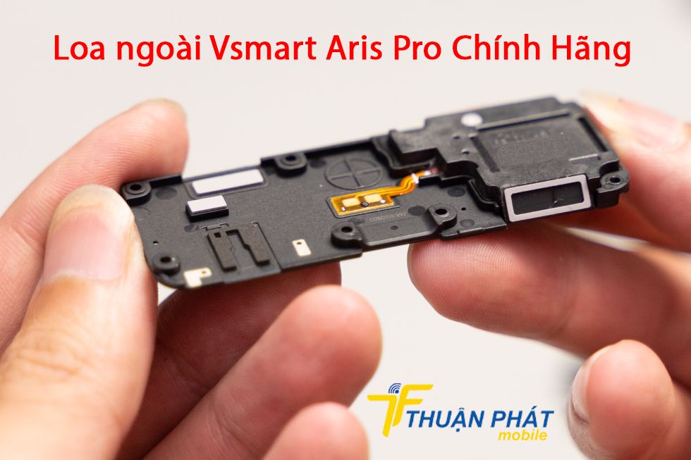 Loa ngoài Vsmart Aris Pro chính hãng