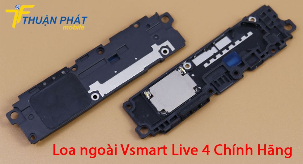 Loa ngoài Vsmart Live 4 chính hãng