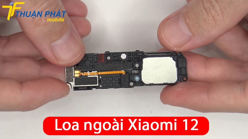 Loa ngoài Xiaomi 12