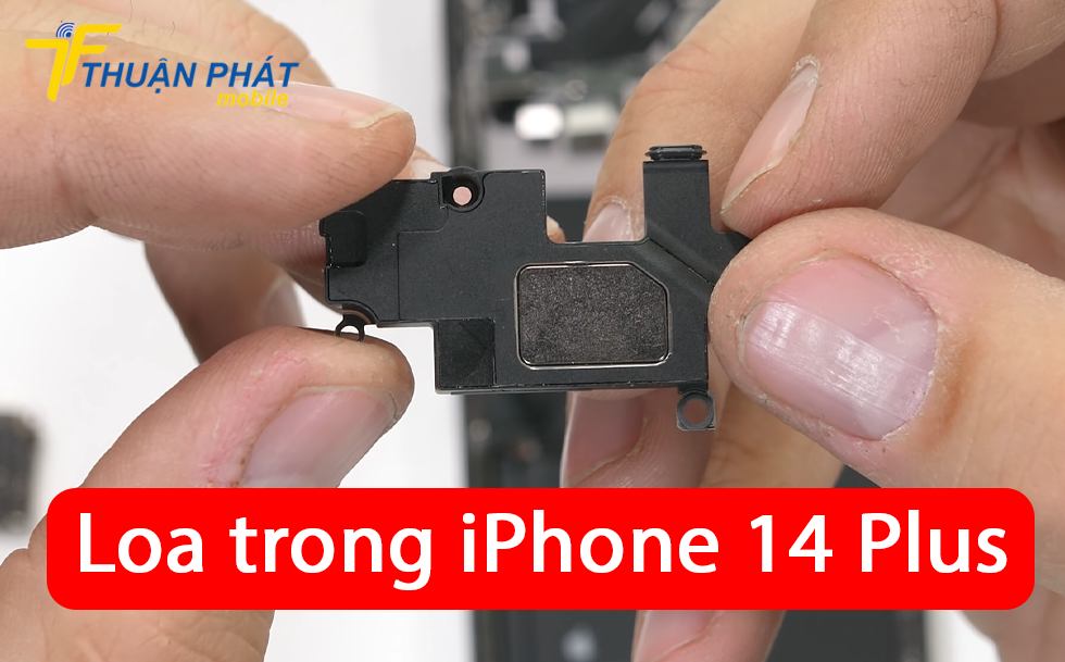 Loa trong iPhone 14 Plus