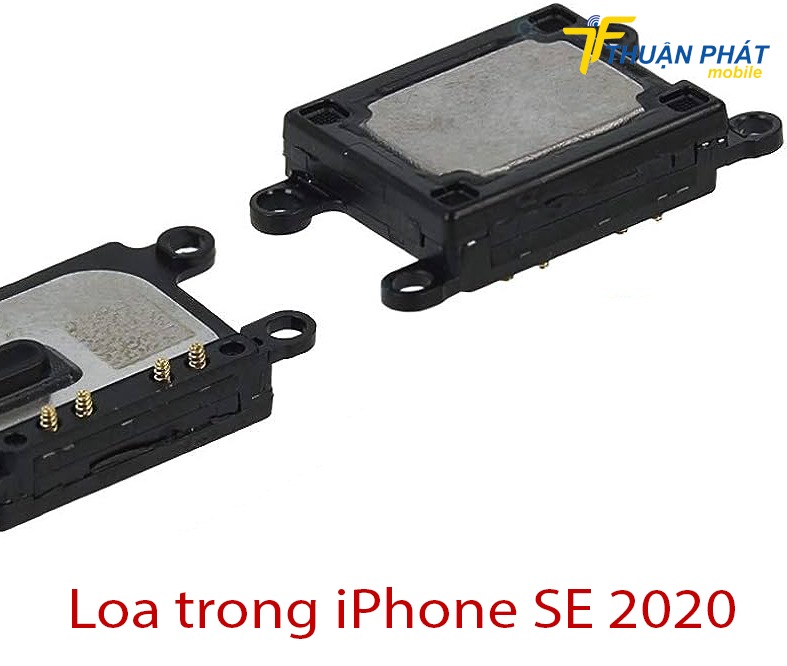 Loa trong iPhone SE 2020