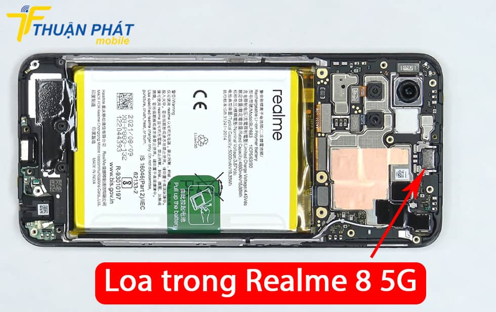 Loa trong Realme 8 5G