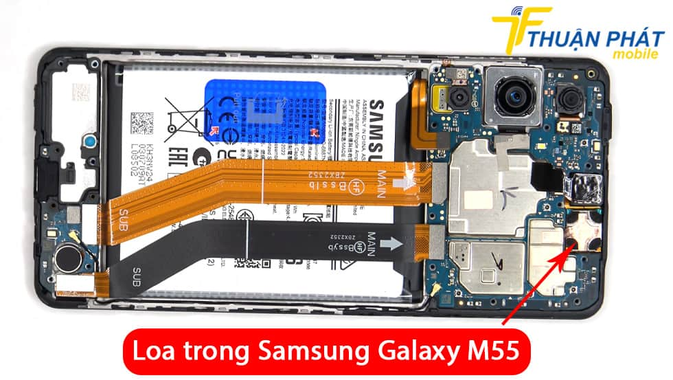 Loa trong Samsung Galaxy M55