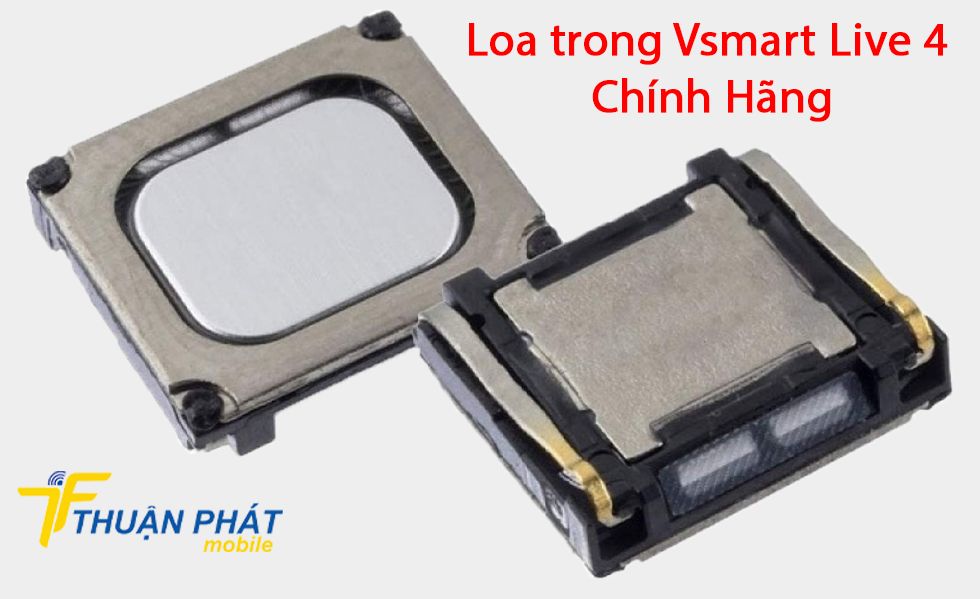 Loa trong Vsmart Live 4 chính hãng