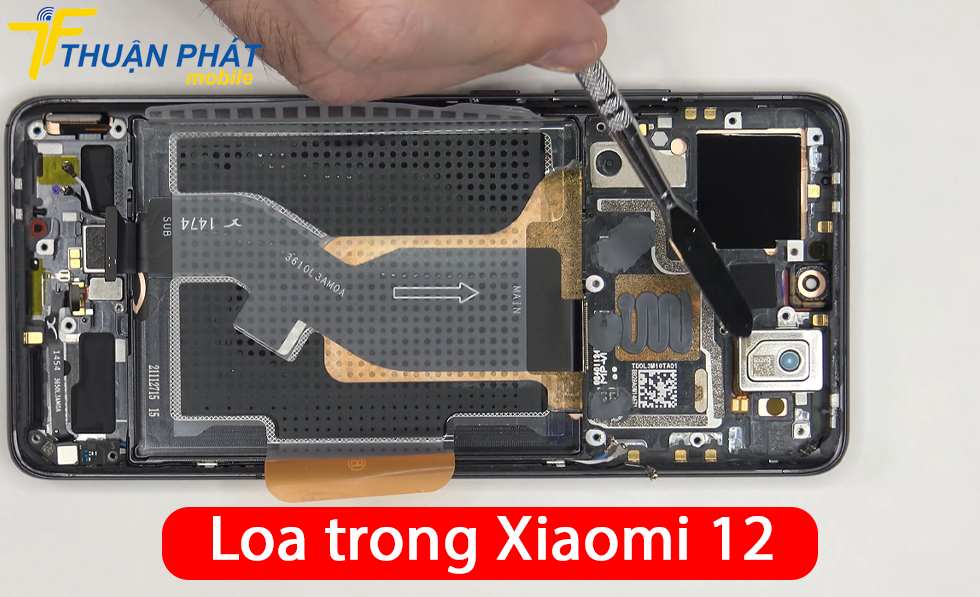 Loa trong Xiaomi 12