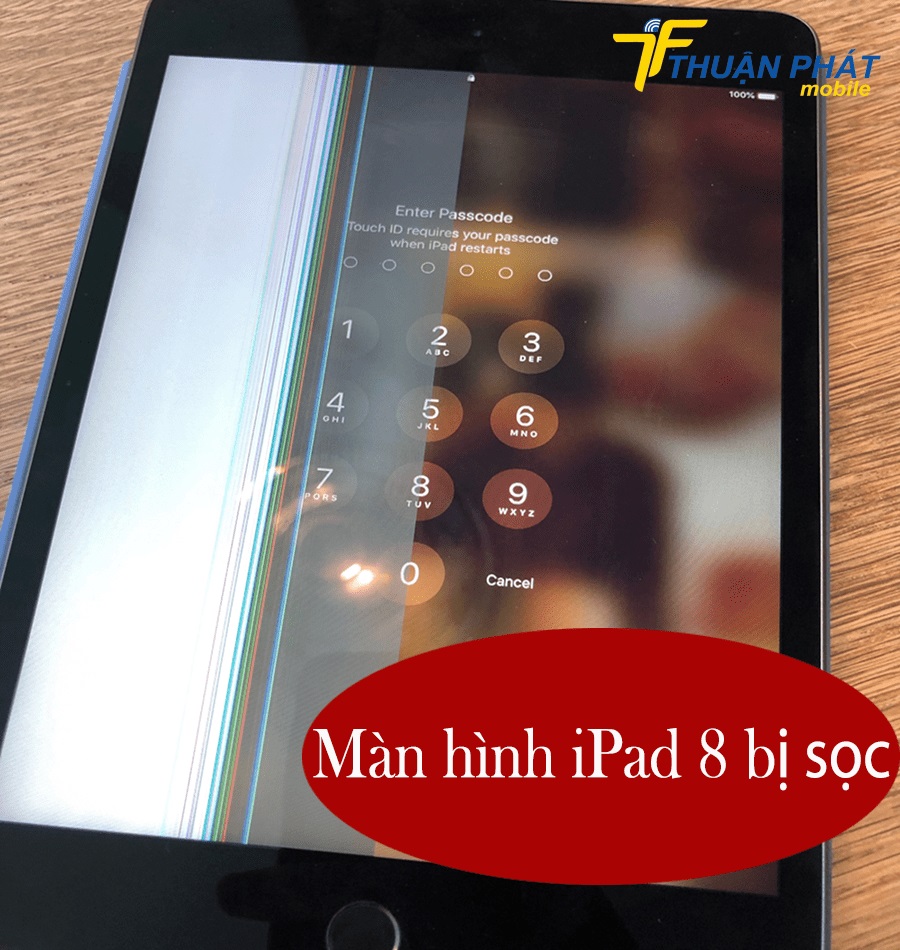 Màn hình iPad 8 bị sọc