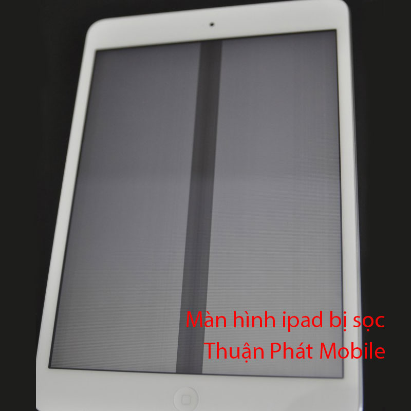 Màn hình ipad bị sọc đen