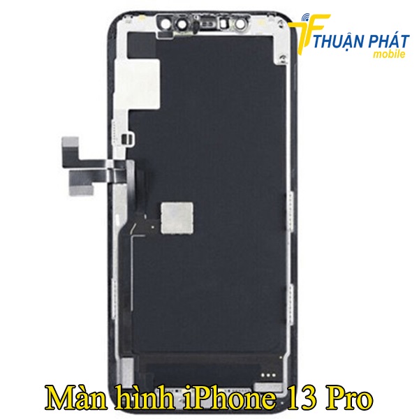 Màn hình iPhone 13 Pro