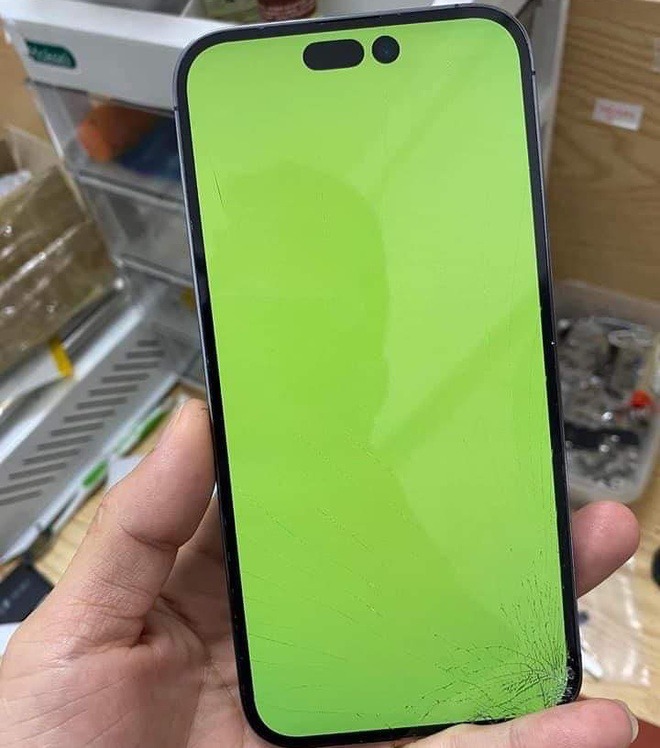 iPhone 15 Pro bị xanh màn hình