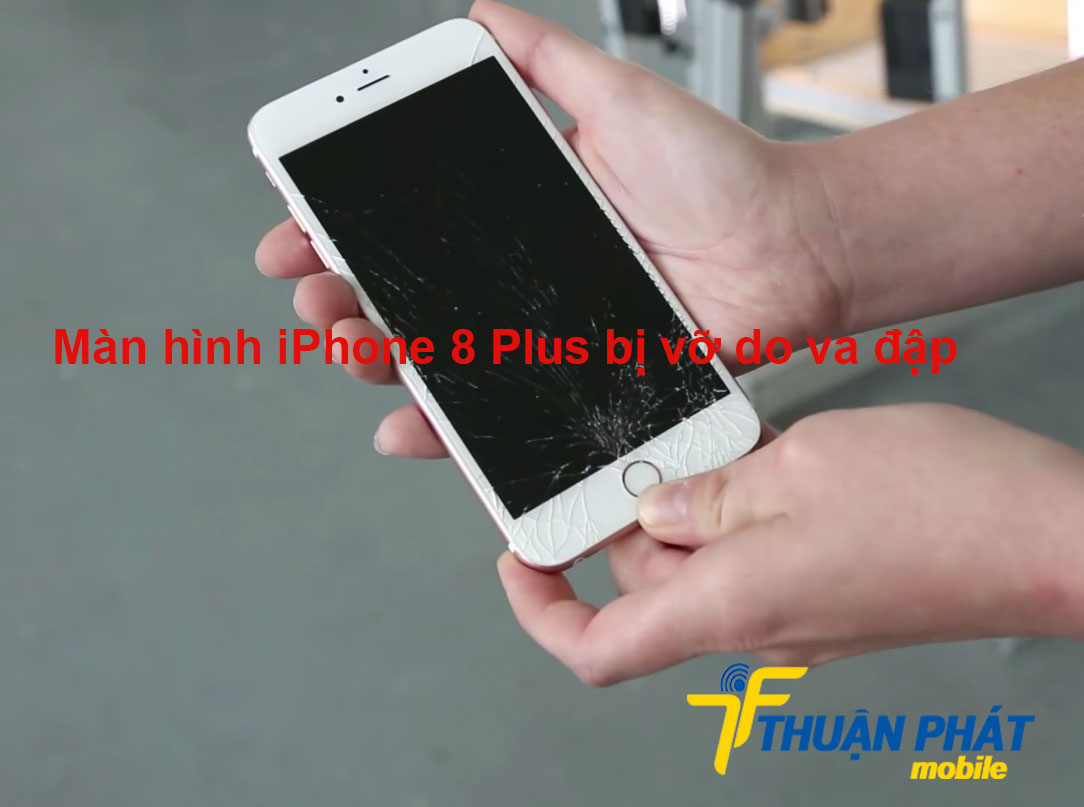 Màn hình iPhone 8 Plus bị vỡ do va đập