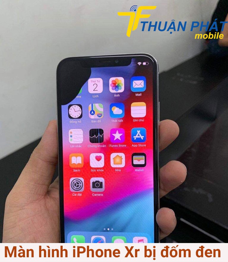 Màn hình iPhone Xr bị đốm đen