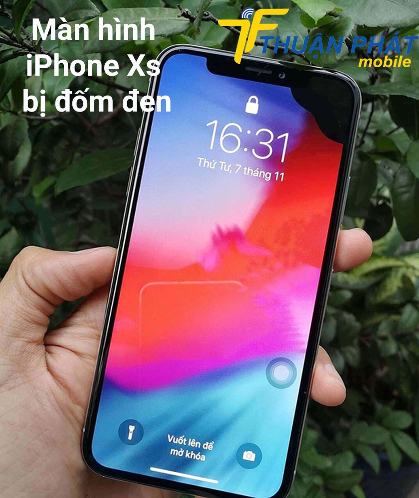 Màn hình iPhone Xs bị đốm đen