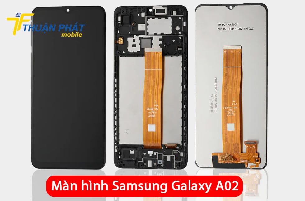 Màn hình Samsung Galaxy A02