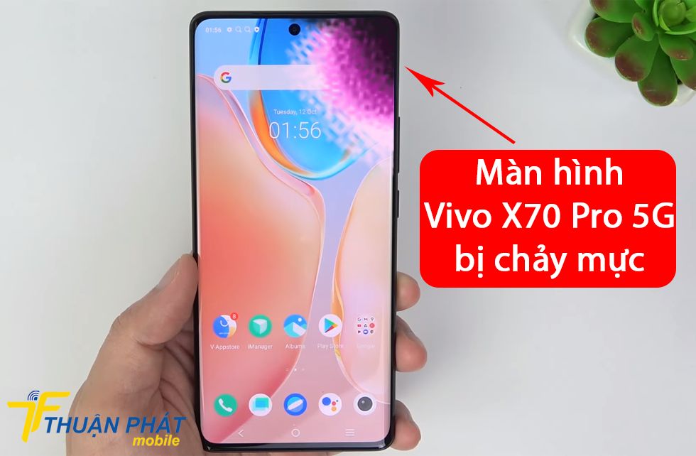 Màn hình Vivo X70 Pro 5G bị chảy mực