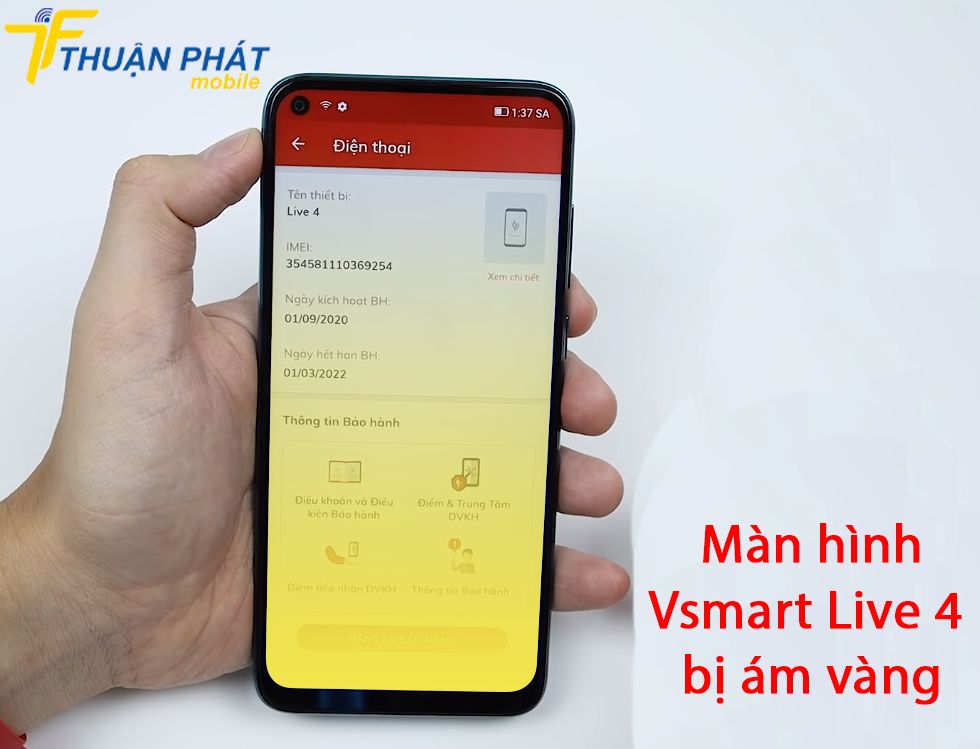 Màn hình Vsmart Live 4 bị ám vàng