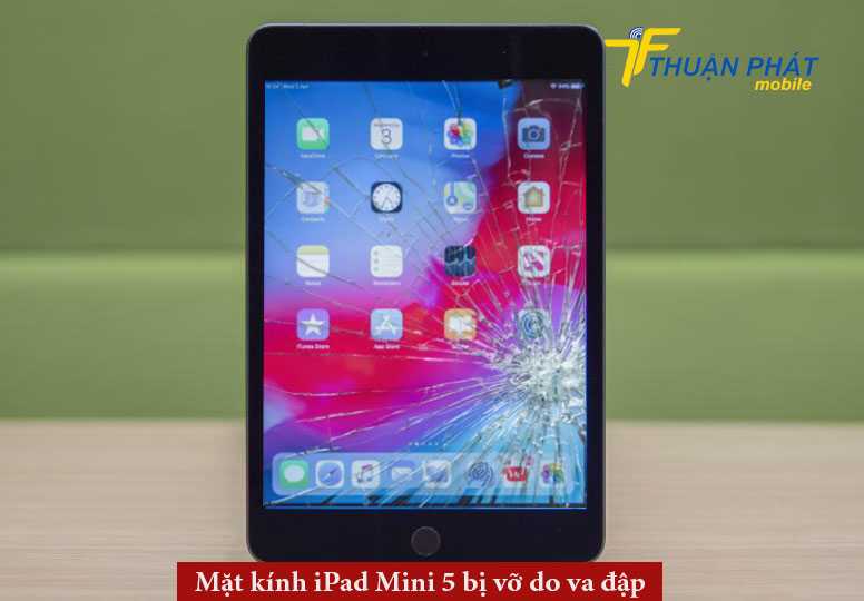 Mặt kính iPad Mini 5 bị vỡ do va đập