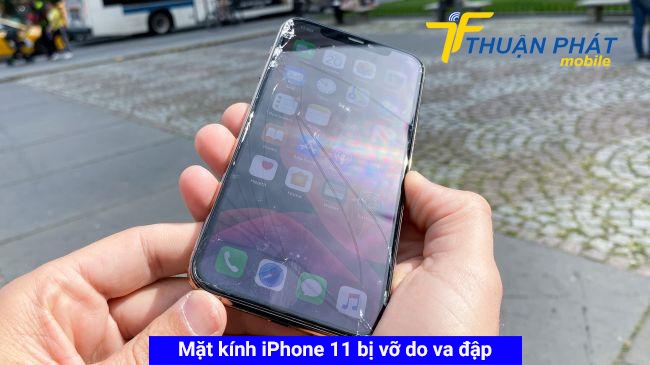 Mặt kính iPhone 11 bị vỡ do va đập