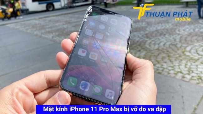 Mặt kính iPhone 11 Pro Max bị vỡ do va đập