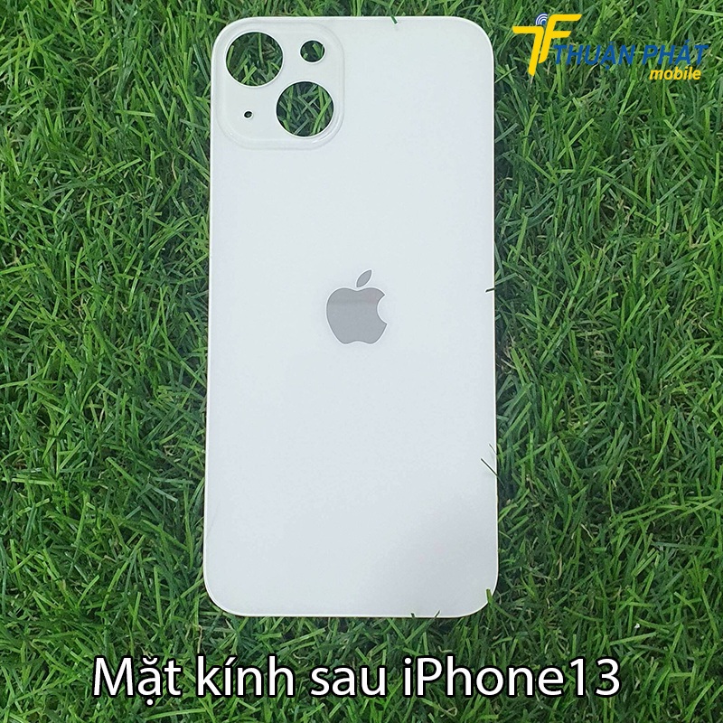 Mặt kính sau iPhone 13