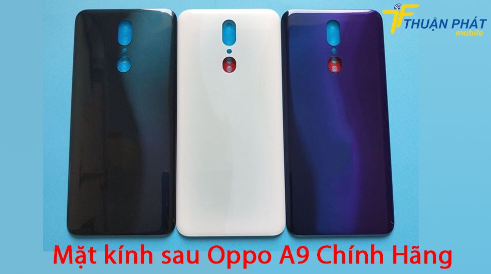 Mặt kính sau Oppo A9 chính hãng