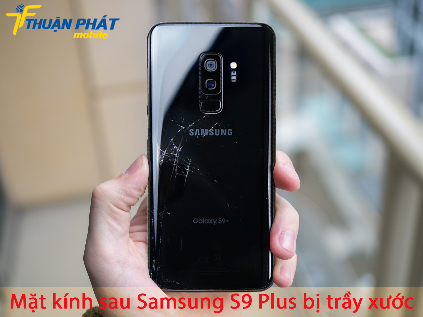 Mặt kính sau Samsung S9 Plus bị trầy xước